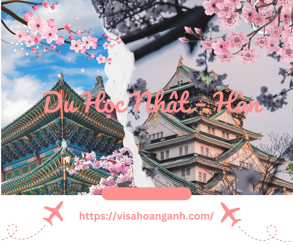 Du Học Nhật – Hàn Cùng Visa Hoàng Anh: Học Tập Chất Lượng, Thu Nhập Ổn Định