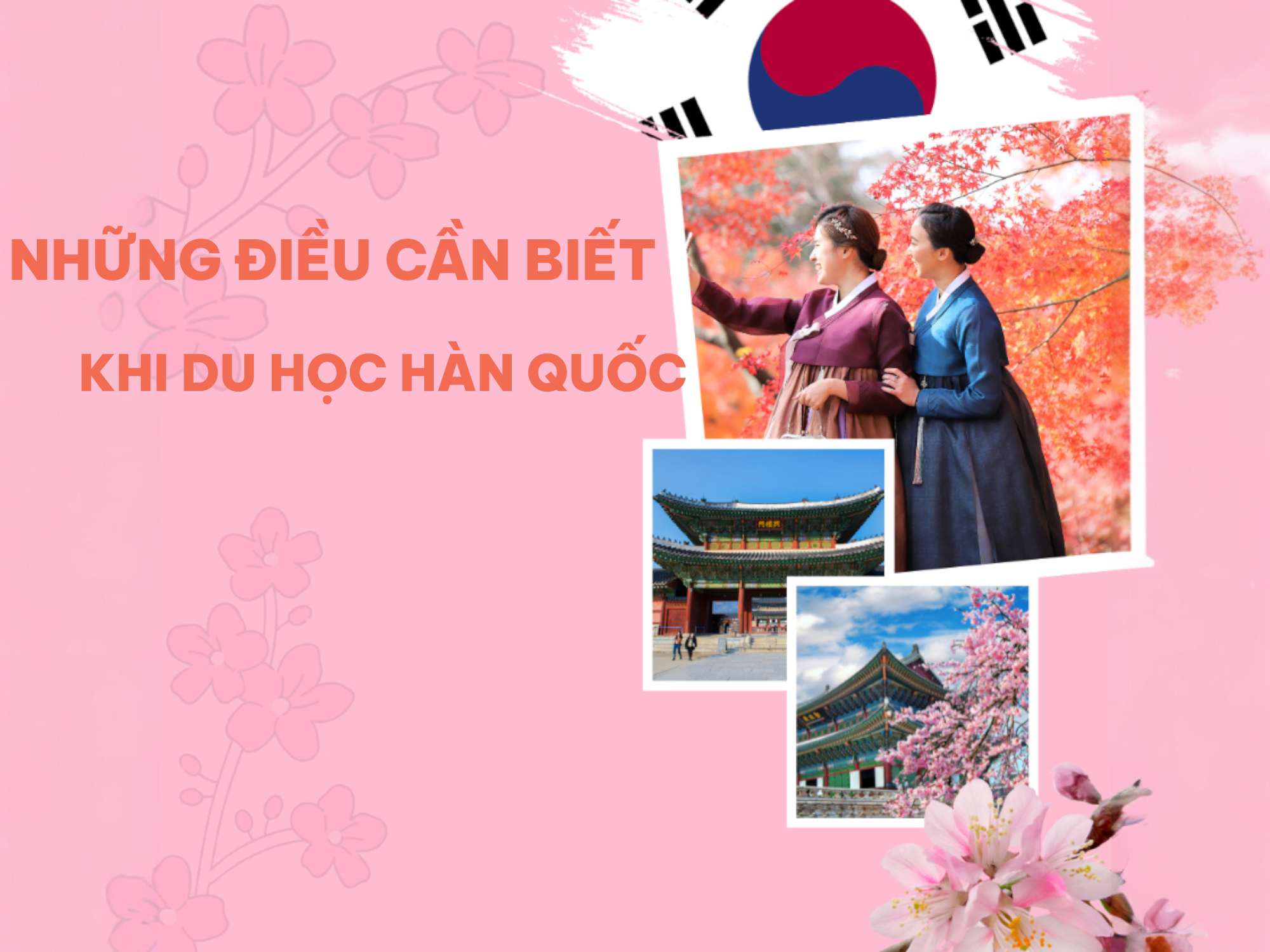 Cẩm Nang Du Học Hàn Quốc 2025: Những Điều Kiện Cần Biết