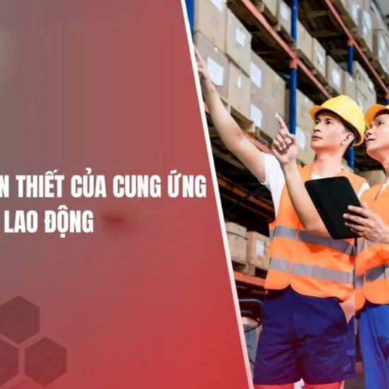 Cung Ứng Nguồn Lao Động Tại Việt Nam: Những Thông Tin Cần Thiết