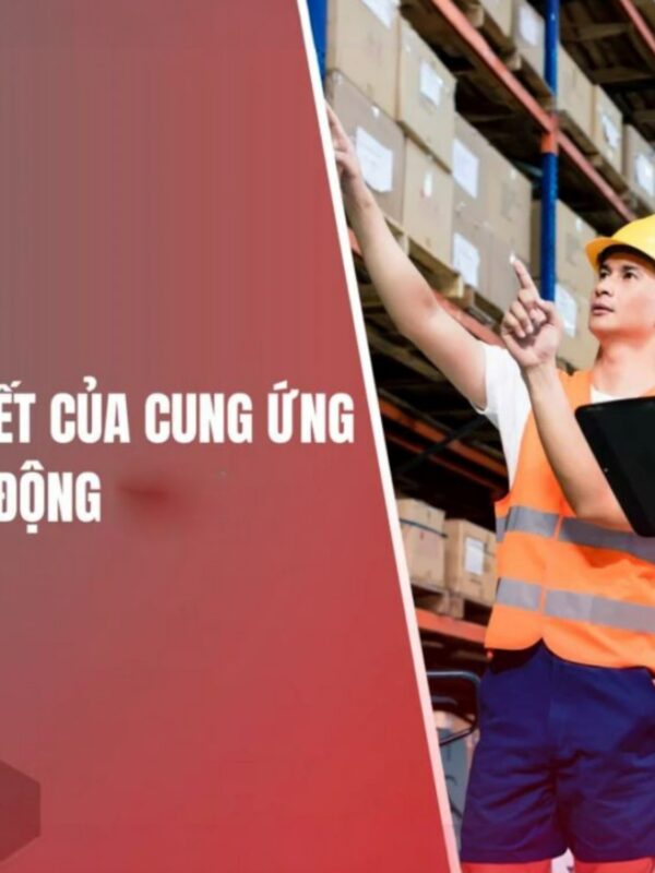 Cung Ứng Nguồn Lao Động Tại Việt Nam: Những Thông Tin Cần Thiết